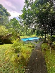 Thomson Road (D11), Detached #498337261